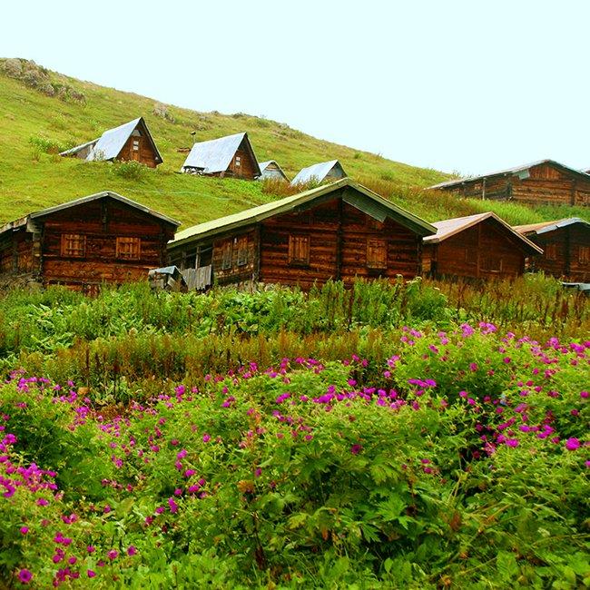 Tur Fotoğrafı 3
